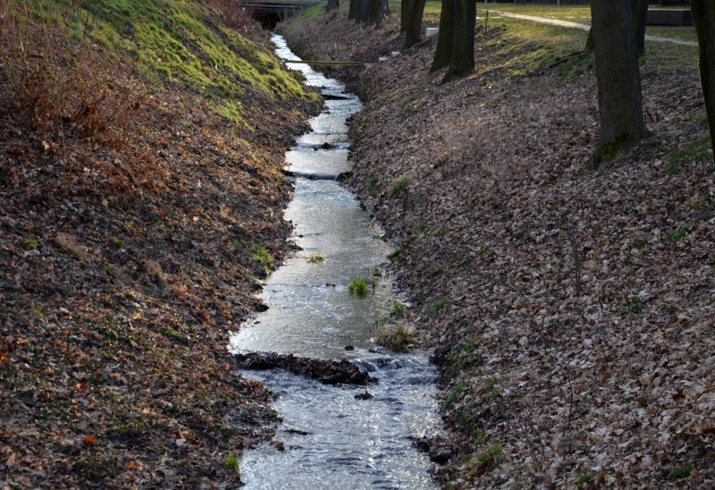 Hillside Water Management