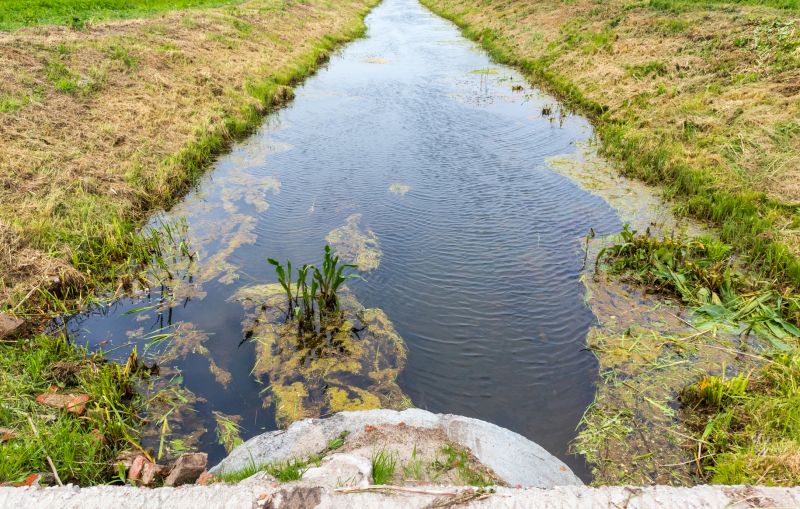 Hillside Water Management