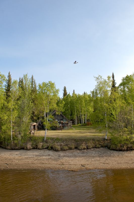 Vegetation Management