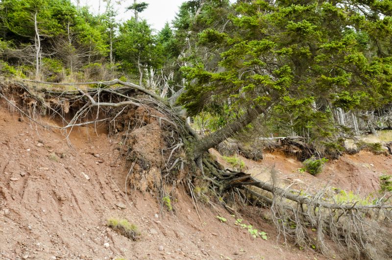 Slope Stabilization